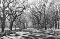 Fotomural Caminata de los Poetas en Nueva York en Blanco y Negro